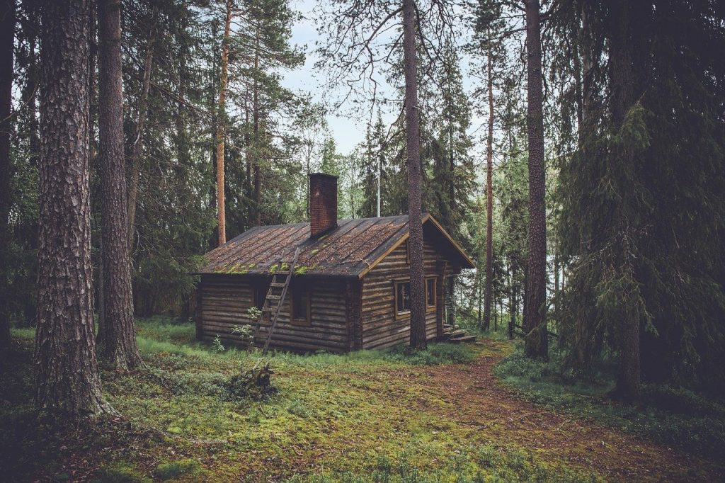 cabin, forest, seclusion